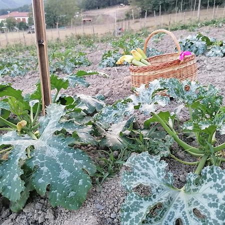 Vila Agriturismo Dei Legi San Pietro Vara Exteriér fotografie