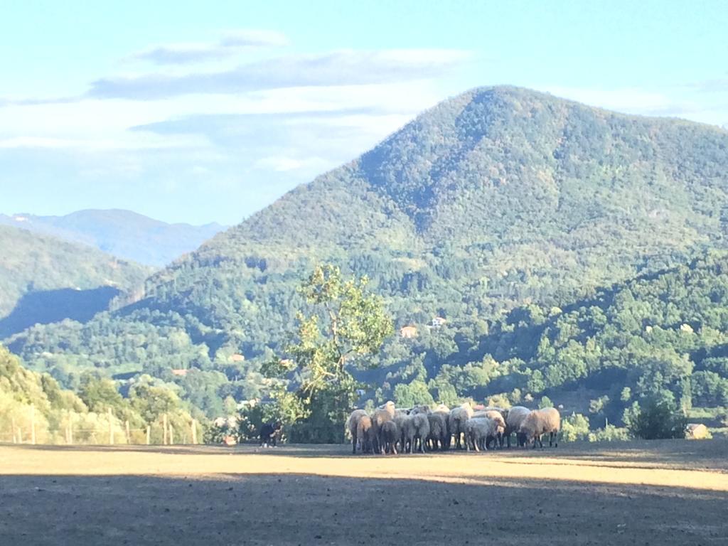 Vila Agriturismo Dei Legi San Pietro Vara Exteriér fotografie