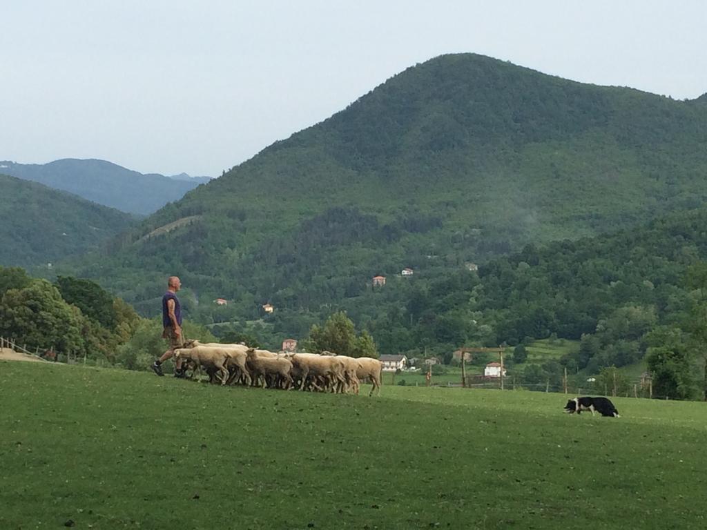 Vila Agriturismo Dei Legi San Pietro Vara Exteriér fotografie