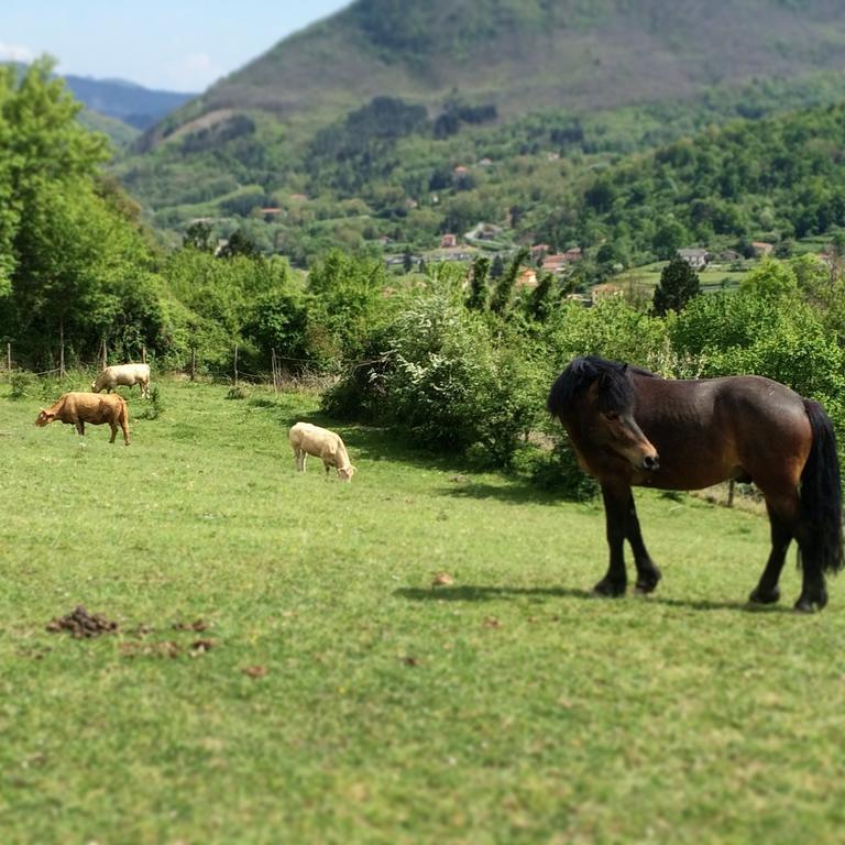 Vila Agriturismo Dei Legi San Pietro Vara Exteriér fotografie