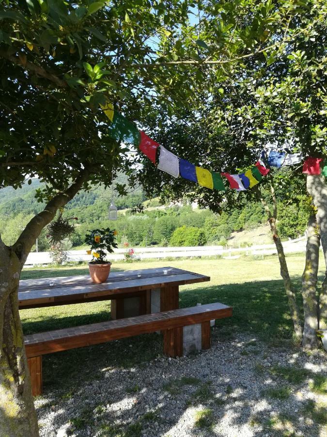 Agriturismo Dei Legi San Pietro Vara Exteriér fotografie