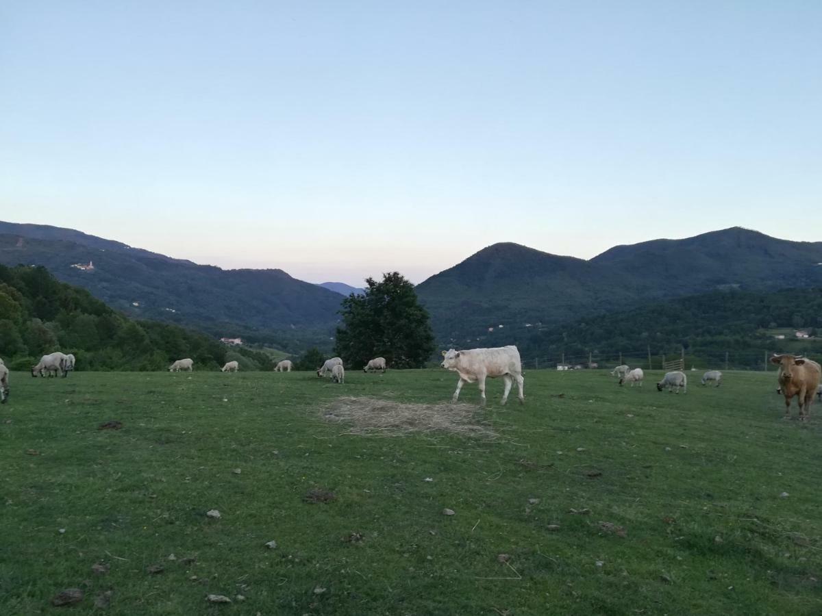 Vila Agriturismo Dei Legi San Pietro Vara Exteriér fotografie