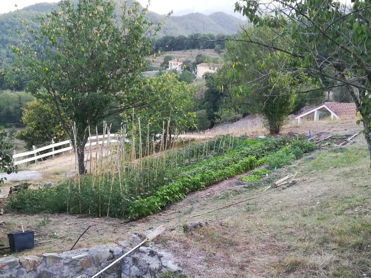 Agriturismo Dei Legi San Pietro Vara Exteriér fotografie