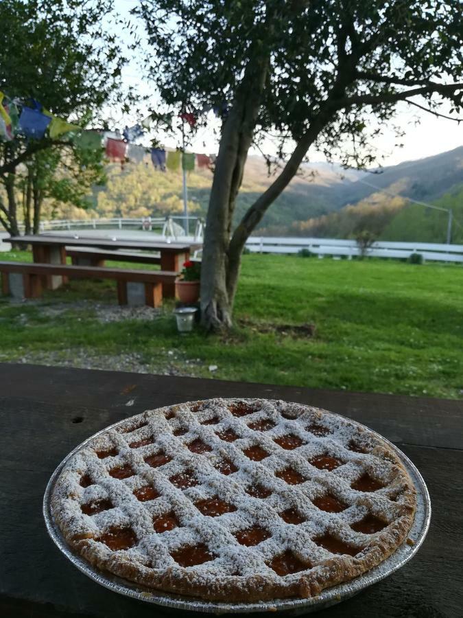 Vila Agriturismo Dei Legi San Pietro Vara Exteriér fotografie